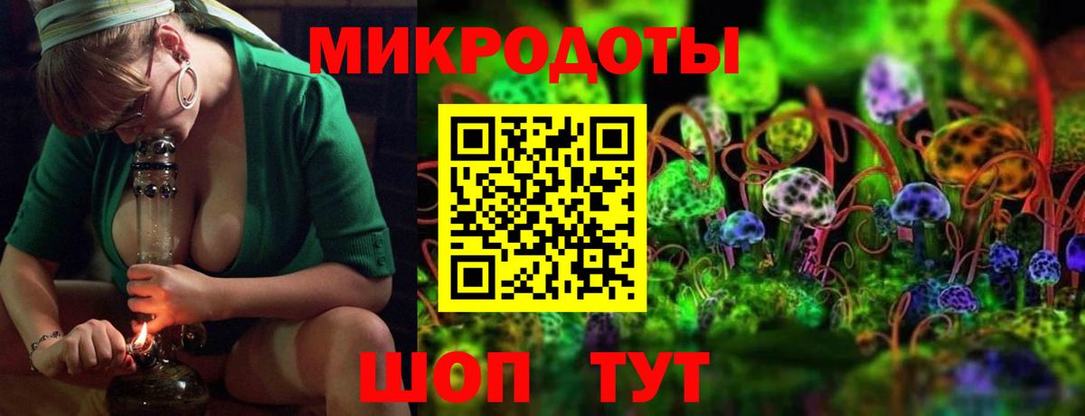 Новозыбков  Псилоцибиновые грибы прущие грибы  Вход с VPN  Псилоцибиновые грибы мухоморы 